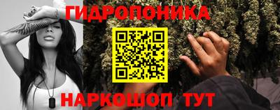 ПСИЛОЦИБИНОВЫЕ ГРИБЫ Бузулук