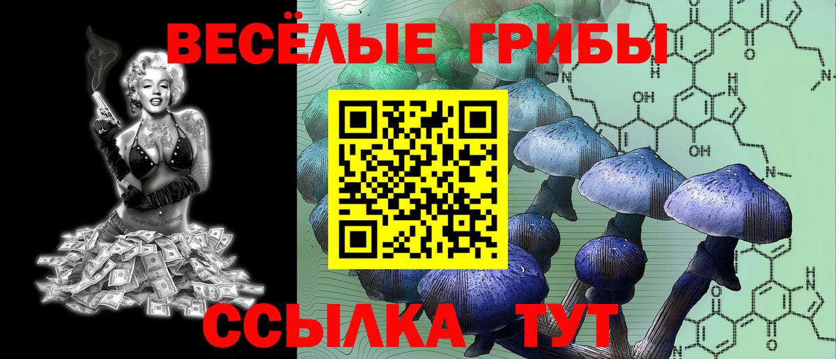 Волхов  Галлюциногенные грибы прущие грибы  Вход с VPN 
